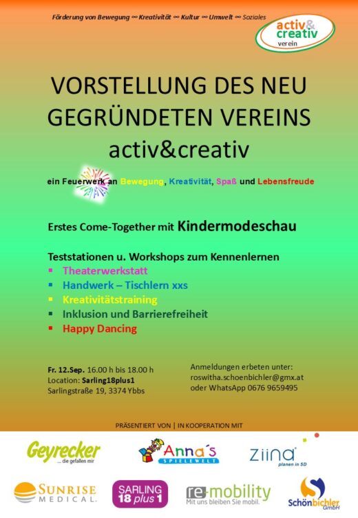 1 Vereinsvorstellung